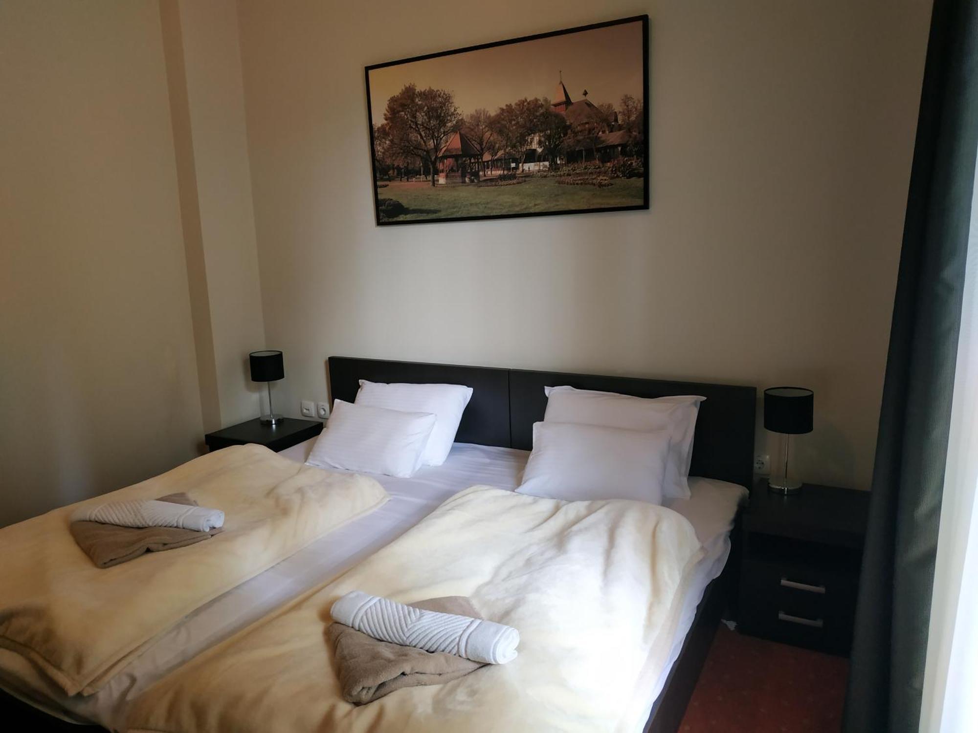 Guest House Vila Lujza Palic Room photo